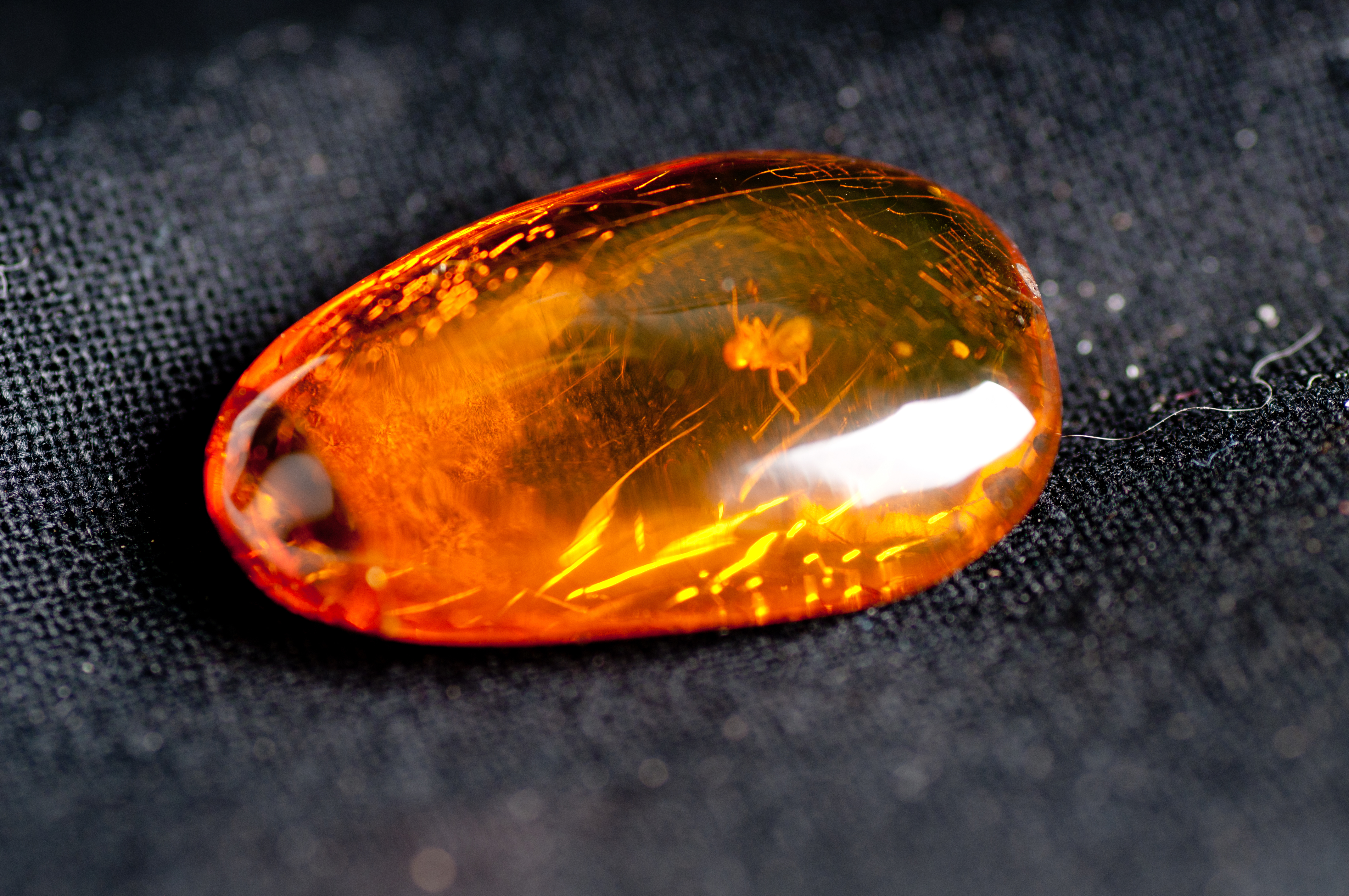 amber with insect inside